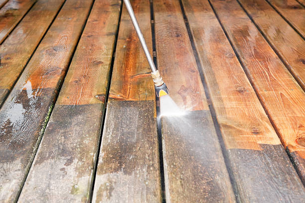 Best Roof Pressure Washing  in Cocoa, FL